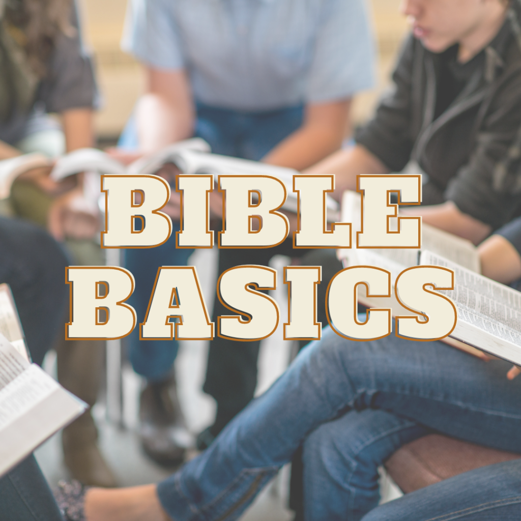 BIble Basics | AWC815